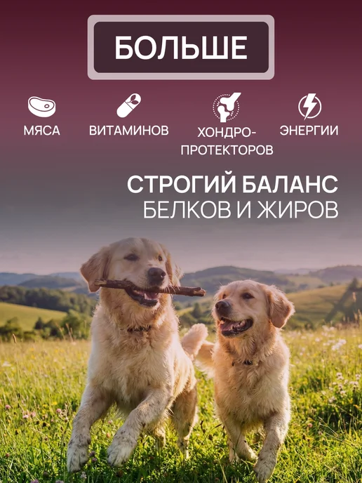Сухой корм Bisko для собак, говядина, 15 кг, фото 3
