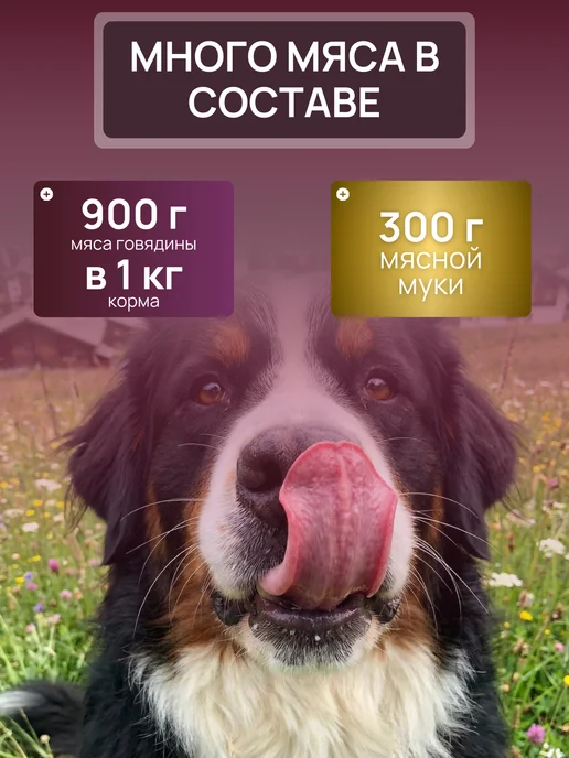 Сухой корм Bisko для собак, говядина, 15 кг, фото 7
