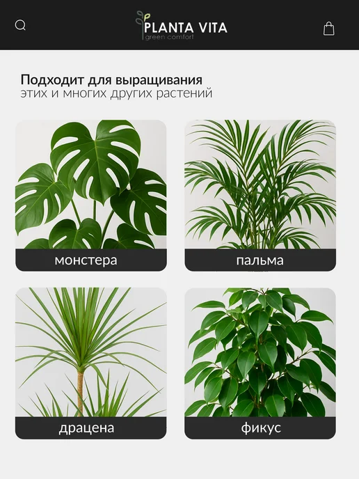 PLANTA VITA Горшок кашпо для цветов настольное с автополивом, коричневый, фото 4
