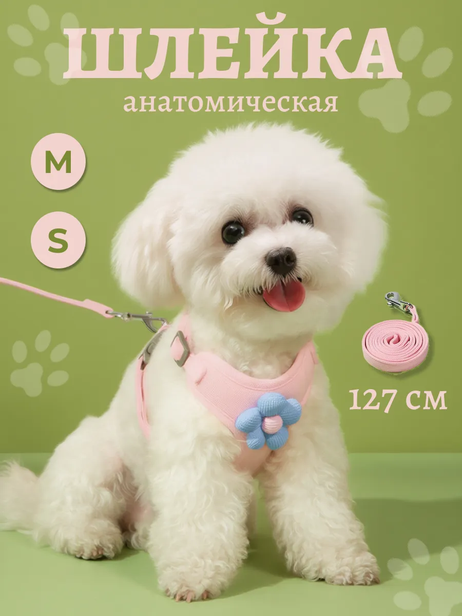 Шлейка для кошек и собак мелких пород с поводком