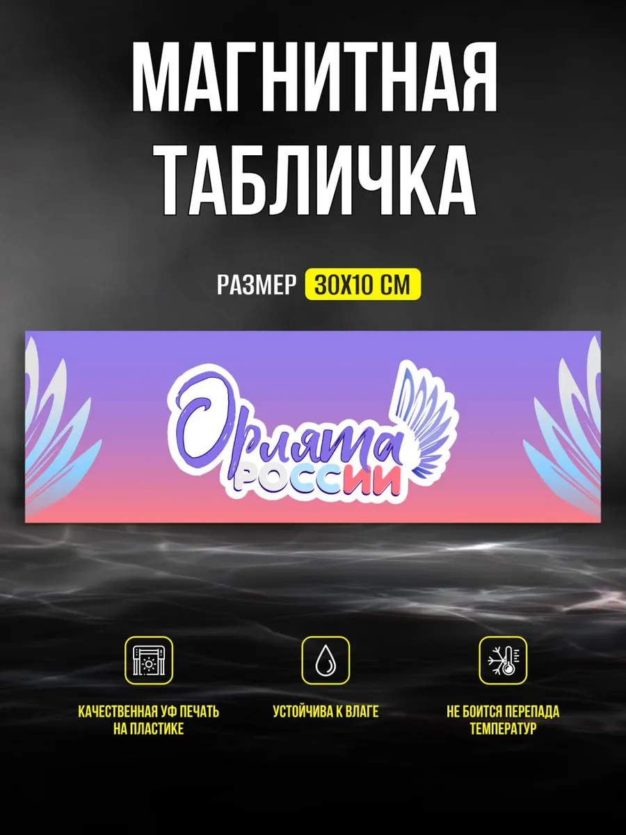Табличка наклейка информационная в школу орлята россии