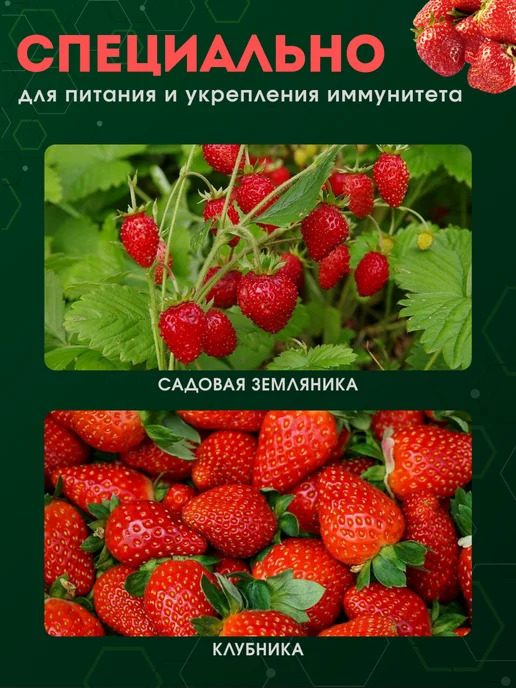 proRostim Органическое удобрение для клубники и земляники лето осень, 475 мл, фото 3