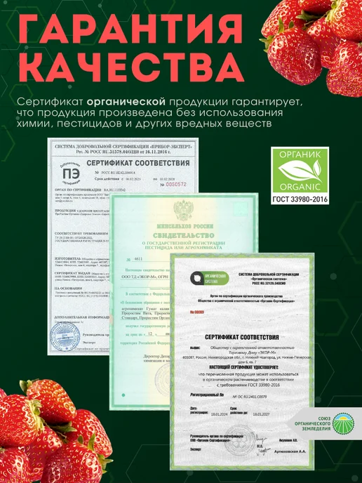 proRostim Органическое удобрение для клубники и земляники лето осень, 475 мл, фото 5