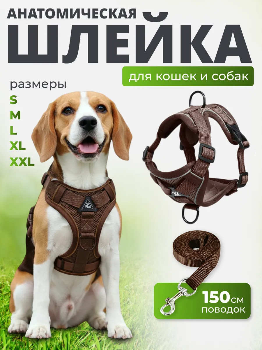 Шлейка для собак мелких средних пород и кошек с поводком