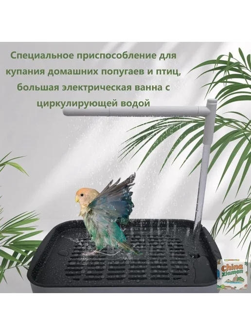 Душ для попугая, регулируемый поток, бесшумный, вариант