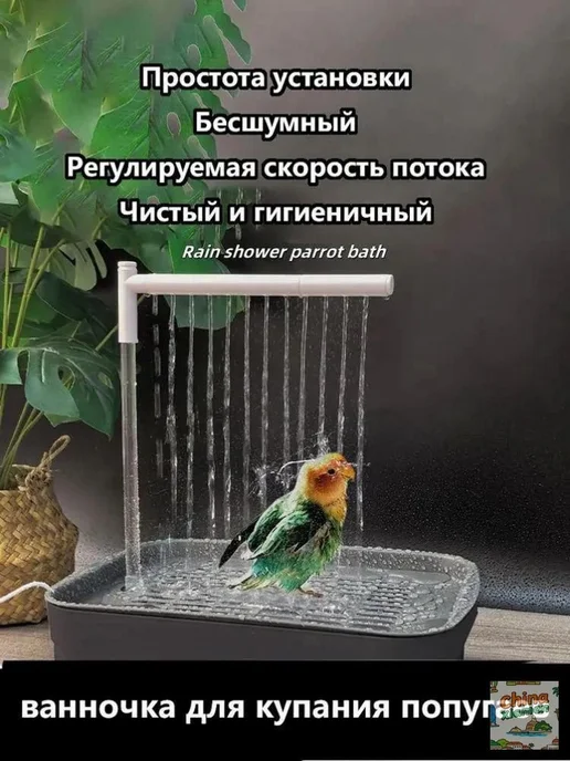 Душ для попугая, регулируемый поток, бесшумный, вариант, фото 2