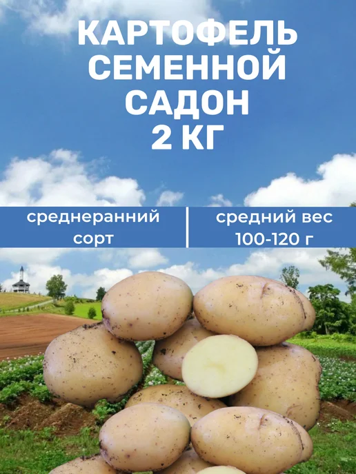 Myfanza Картофель Садон, 2 кг, 2 кг