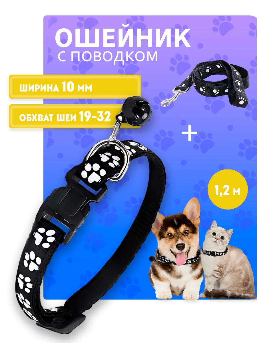 Ошейник для собак мелких пород