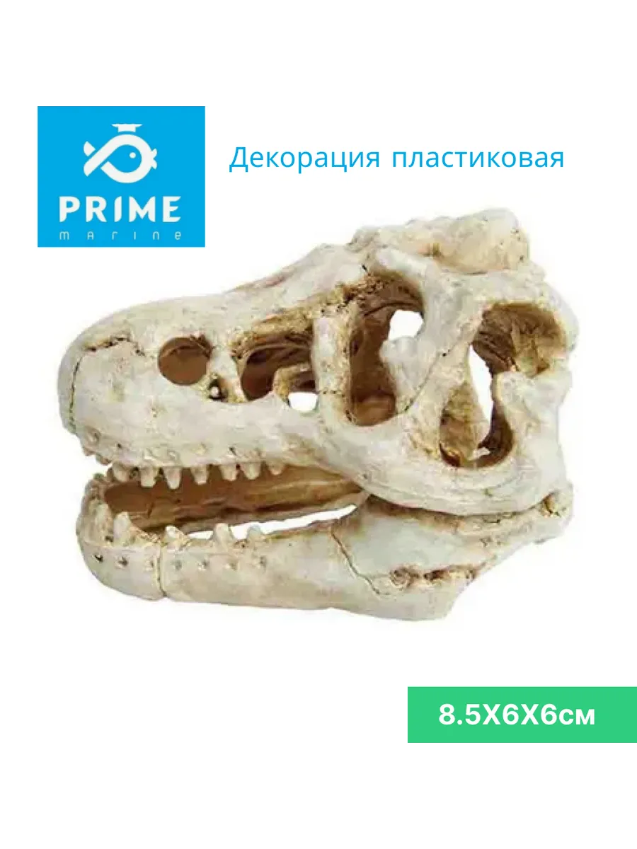 Декорация пластиковая Череп динозавра 8.5X6X6см