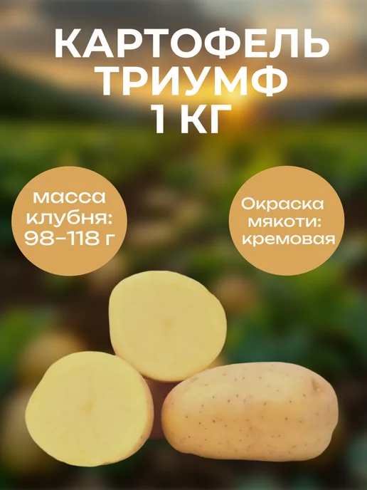 ОгородNIK Картофель Триумф, 1 кг, 1 кг